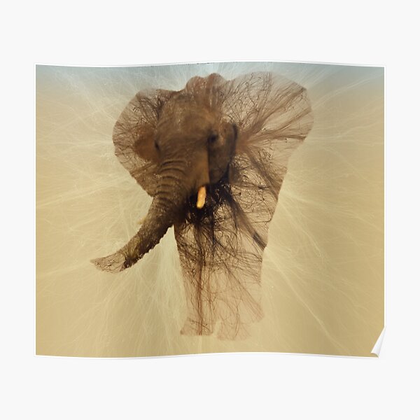 Loxodonta Africana by M.A Poster