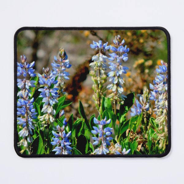 Artikelvorschau, Blaue Wildblumen entworfen und verkauft von Jmb67.