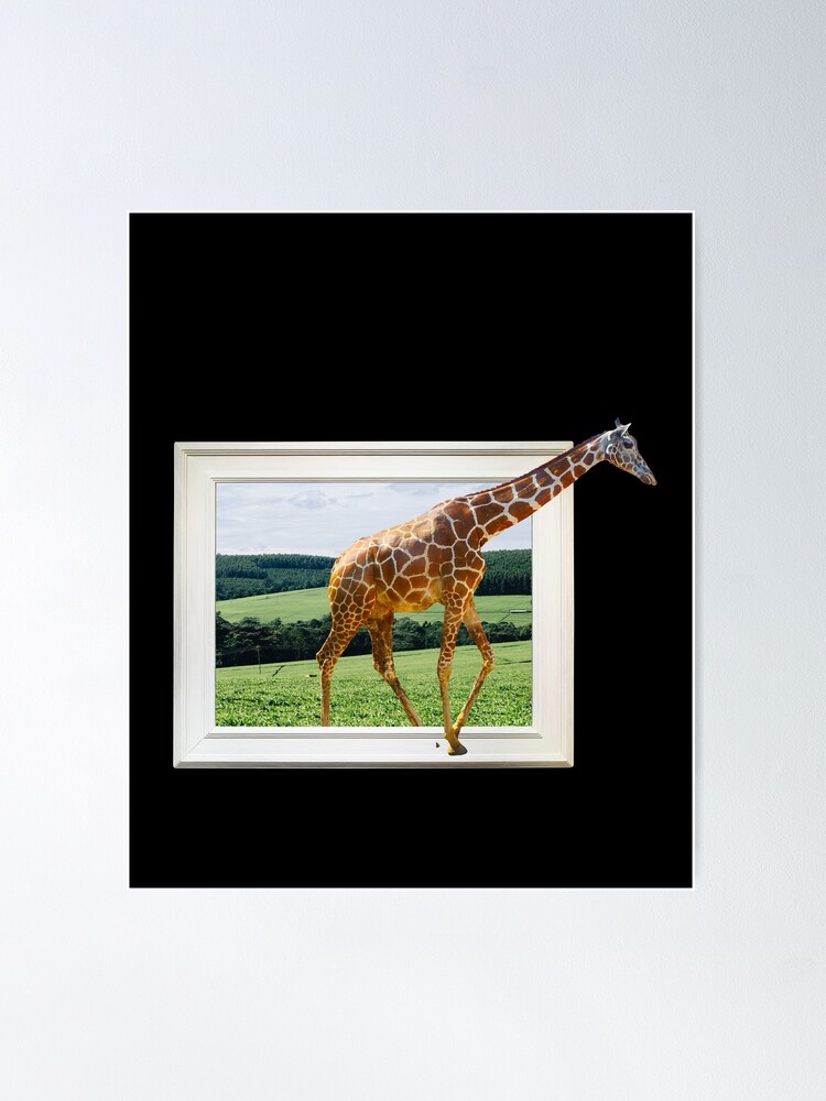 2,972 4 Picture Frames On Wall Images, Stock Photos, 3D objects