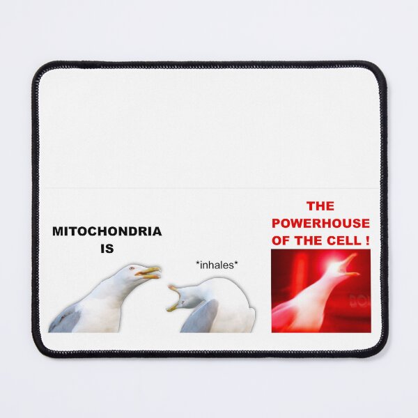 Item preview, Seagull Meme/Mitochondria is the powerhouse of the cell designed and sold by AlexRaptayg.