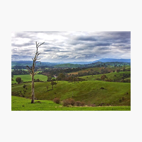 Acheron cutting- Goulburn River view Photographic Print