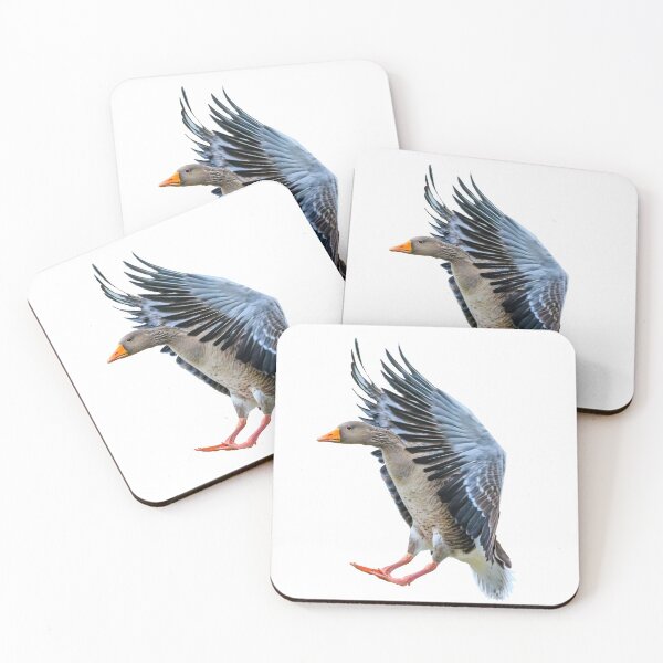 Item preview, Greylag goose coming into land designed and sold by Dalyndigital Photography.