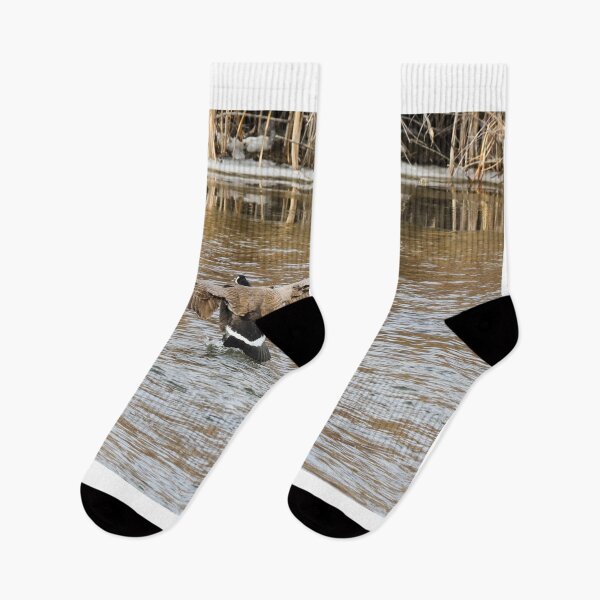 Item preview, Canada Goose Landing In River Water designed and sold by FreelanceJim.