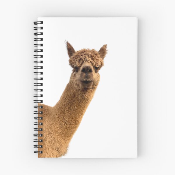 Item preview, Curious Alpaca designed and sold by Leo's Alpaca store.