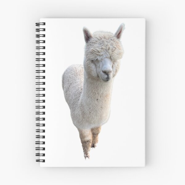 Item preview, Cute and cozy alpaca designed and sold by Leo's Alpaca store.