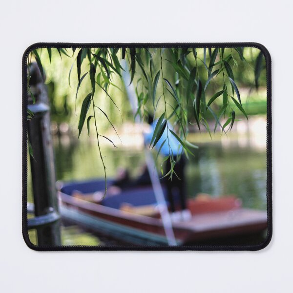Item preview, Life on the Cam designed and sold by CJWoolhead.