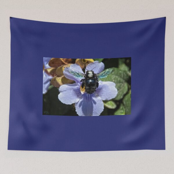 Item preview, BOB ~ Big Ol' Bee designed and sold by MasterJames.