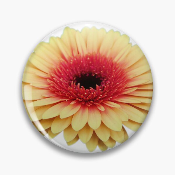 Item preview, Gerbera 6 designed and sold by michelofya.
