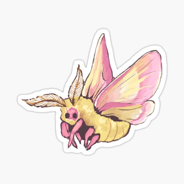 Fluffy Poodle Moth and Pink Lemonade Moth Sticker Set of 2 / Rosy Maple Moth  Sticker / Fluffy Moth Sticker / Laptop Sticker / Vinyl Stickers 