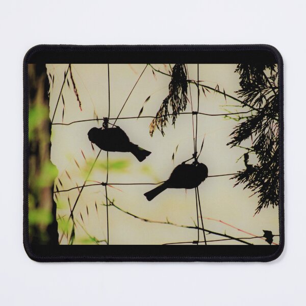 Item preview, Fenced Birds designed and sold by craftsbydaphy.