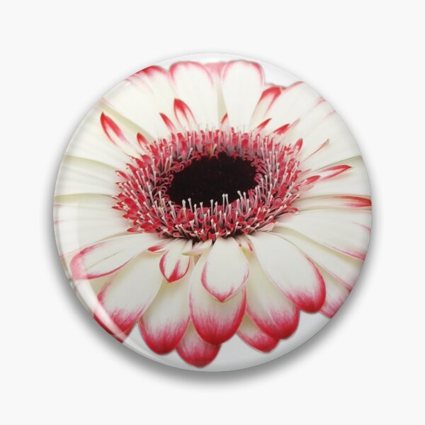 Item preview, Gerbera 3 designed and sold by michelofya.