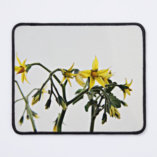 Item preview, Tomato Flowering designed and sold by michelofya.