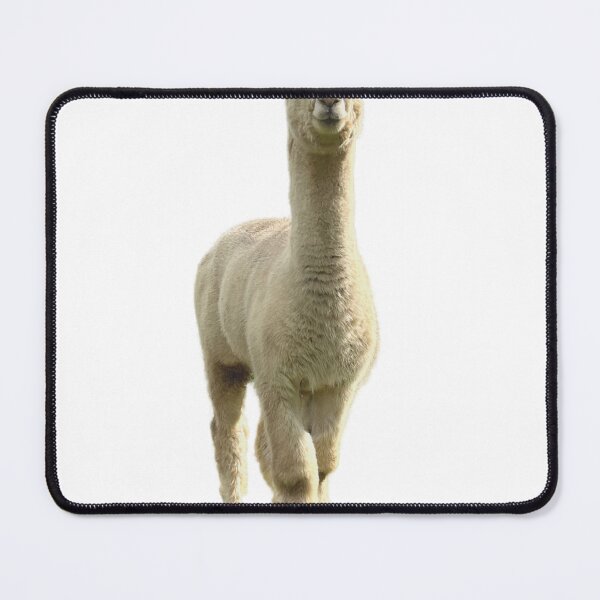 Item preview, Cute alpaca designed and sold by Leo's Alpaca store.