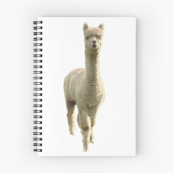 Item preview, Cute alpaca designed and sold by Leo's Alpaca store.