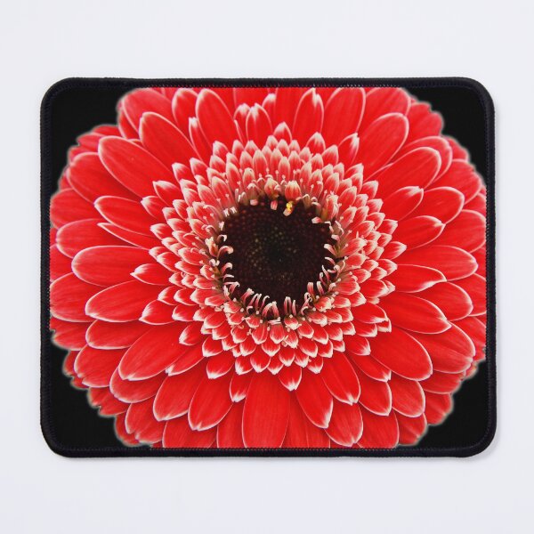 Item preview, Gerbera 1 designed and sold by michelofya.