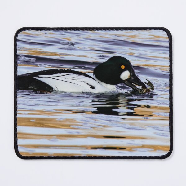Item preview, A Male Goldeneye With Crawdad designed and sold by FreelanceJim.