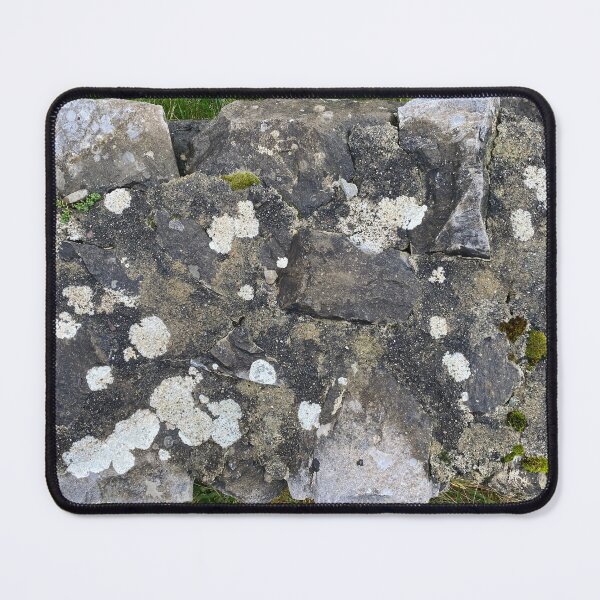 Item preview, Lichen and Moss on a Stone Wall designed and sold by Sinemathk.