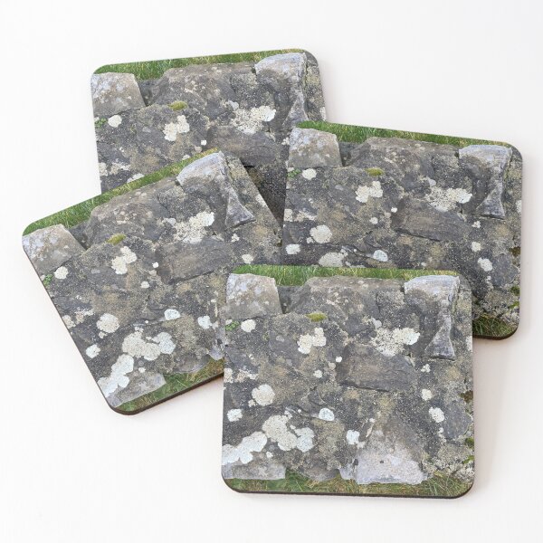 Item preview, Lichen and Moss on a Stone Wall designed and sold by Sinemathk.