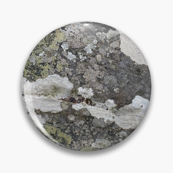 Item preview, Coloured Lichen on a Stone Rock designed and sold by Sinemathk.