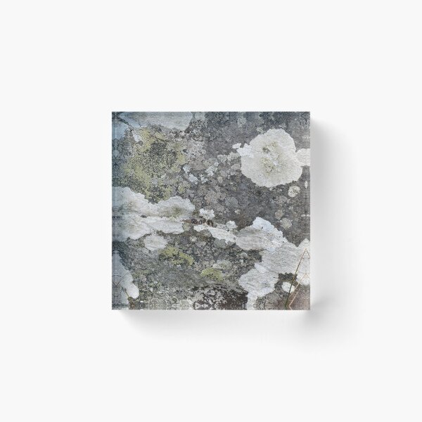 Item preview, Coloured Lichen on a Stone Rock designed and sold by Sinemathk.