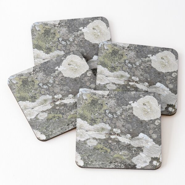 Item preview, Coloured Lichen on a Stone Rock designed and sold by Sinemathk.