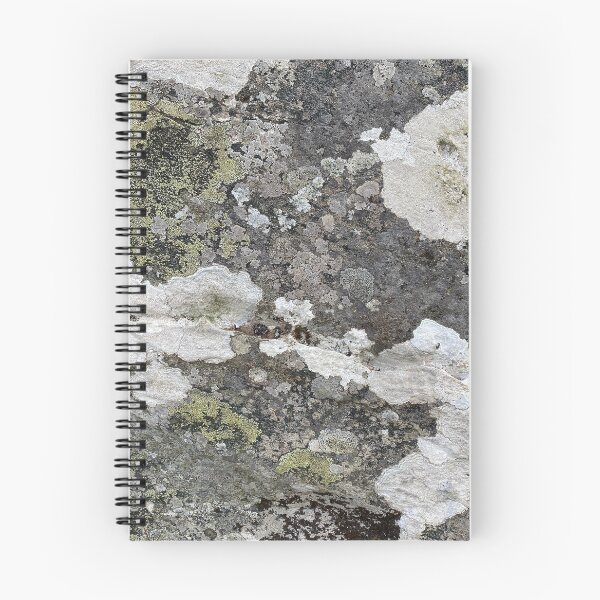 Item preview, Coloured Lichen on a Stone Rock designed and sold by Sinemathk.