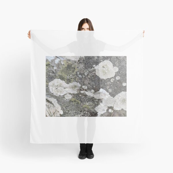 Item preview, Coloured Lichen on a Stone Rock designed and sold by Sinemathk.