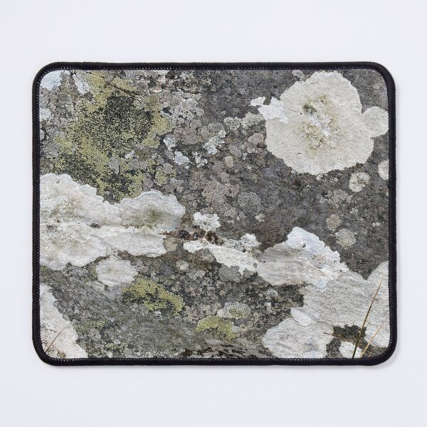 Item preview, Coloured Lichen on a Stone Rock designed and sold by Sinemathk.