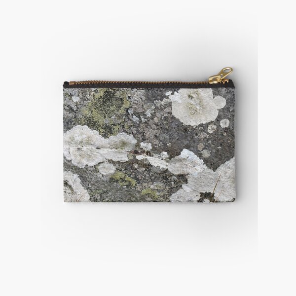 Item preview, Coloured Lichen on a Stone Rock designed and sold by Sinemathk.
