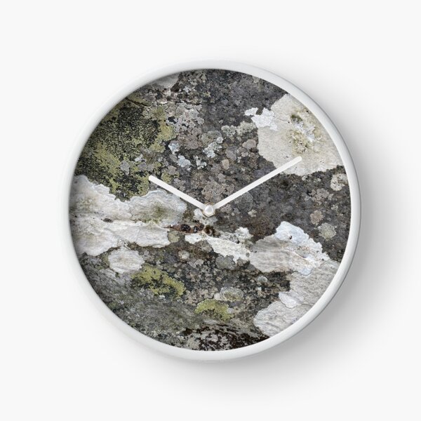 Item preview, Coloured Lichen on a Stone Rock designed and sold by Sinemathk.