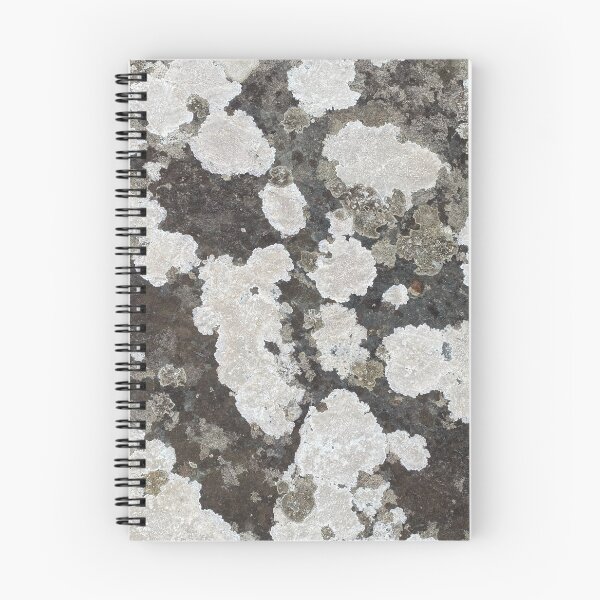 Item preview, Lichen on a Stone Rock designed and sold by Sinemathk.