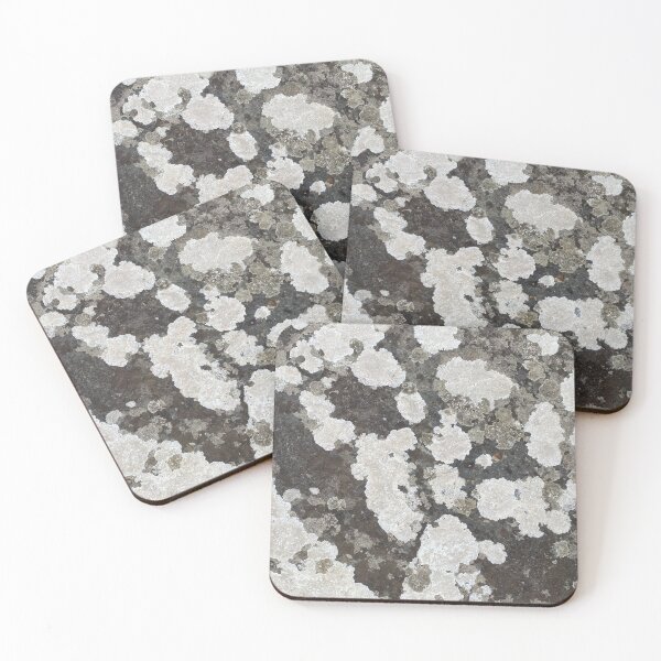 Item preview, Lichen on a Stone Rock designed and sold by Sinemathk.