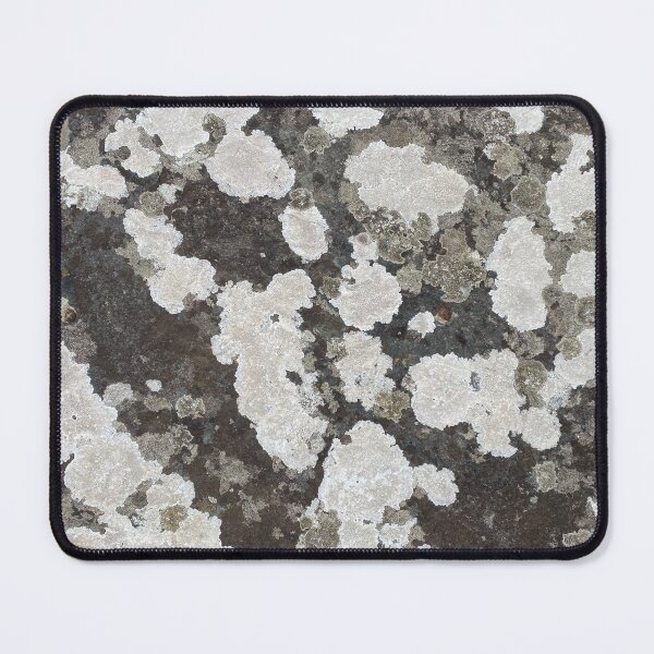 Item preview, Lichen on a Stone Rock designed and sold by Sinemathk.