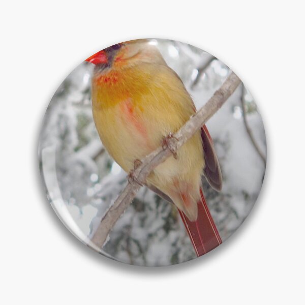 Item preview, Lady Cardinal designed and sold by MarianBendeth.