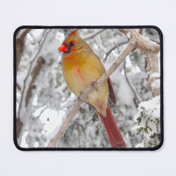 Item preview, Lady Cardinal designed and sold by MarianBendeth.