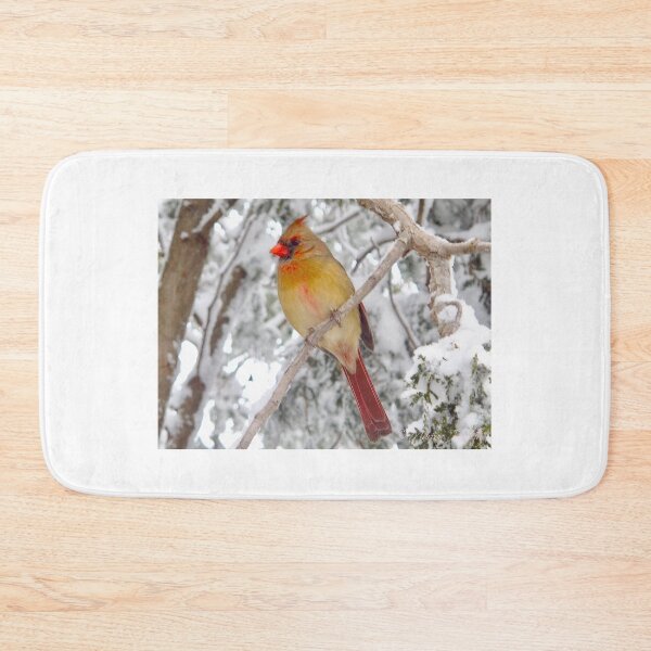 Item preview, Lady Cardinal designed and sold by MarianBendeth.