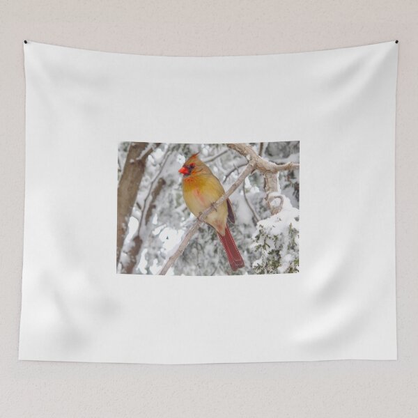 Item preview, Lady Cardinal designed and sold by MarianBendeth.