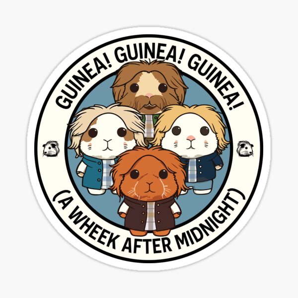 Gimme! Gimme! Gimme! Guinea Pigs – AB BA Cavy Parody Design Sticker