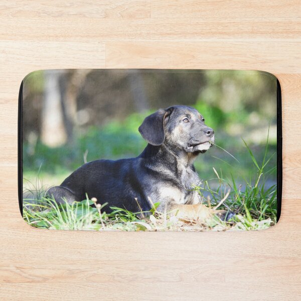 Item preview, An abandoned pup found with 6 more siblings in Malaga. designed and sold by AH Fotography.