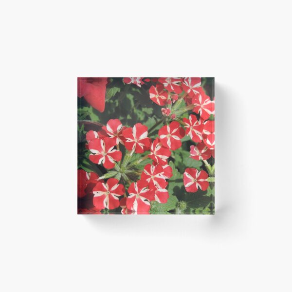Item preview, Red and White Floral Nature Pattern designed and sold by laurenbartaart.
