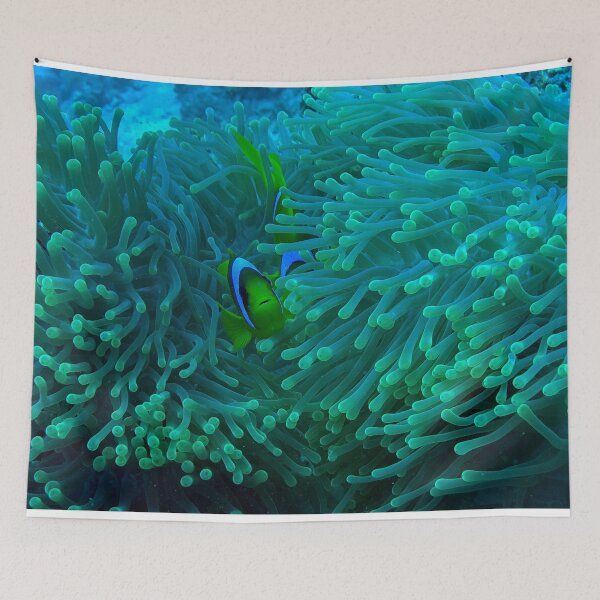 Item preview, Anemone Fish designed and sold by likbatonboot.