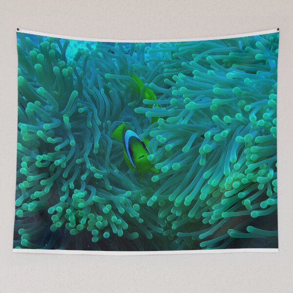 Item preview, Clownfish designed and sold by likbatonboot.