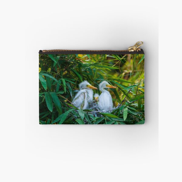 Item preview, Three Great White Egret Chicks on the Nest. Cute baby birds. designed and sold by kstanvir.