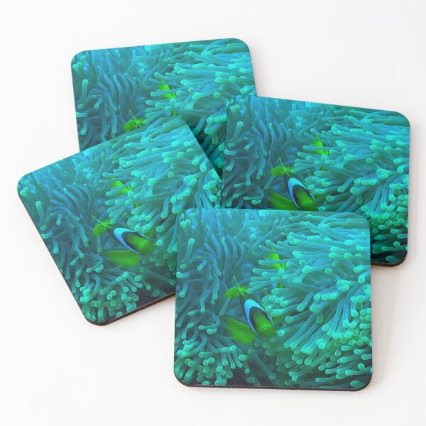 Item preview, Anemone Fish designed and sold by likbatonboot.