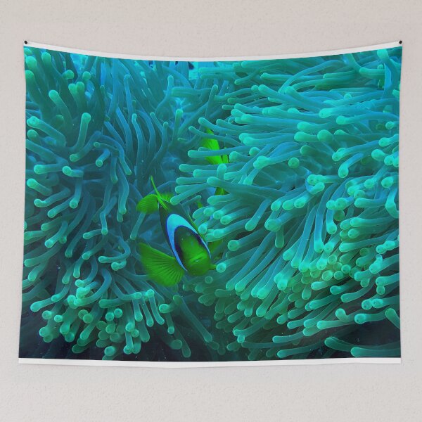Item preview, Anemone Fish designed and sold by likbatonboot.