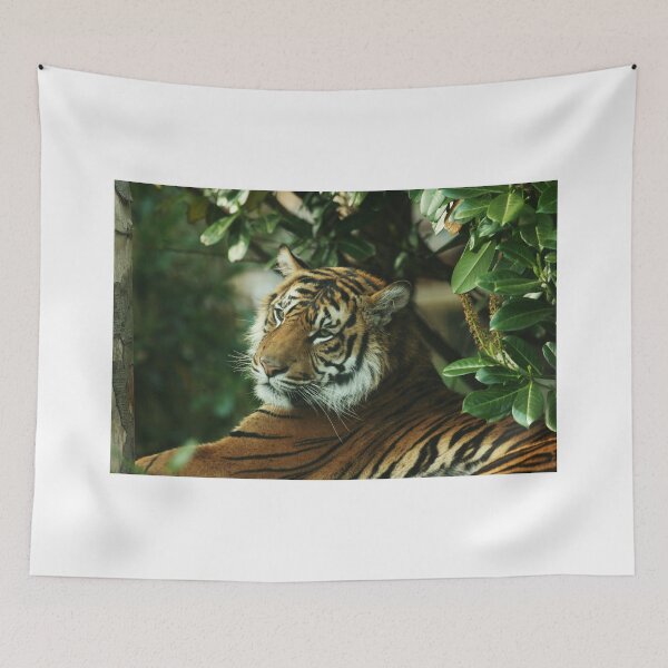 Item preview, Sumatran Female designed and sold by francophotos.