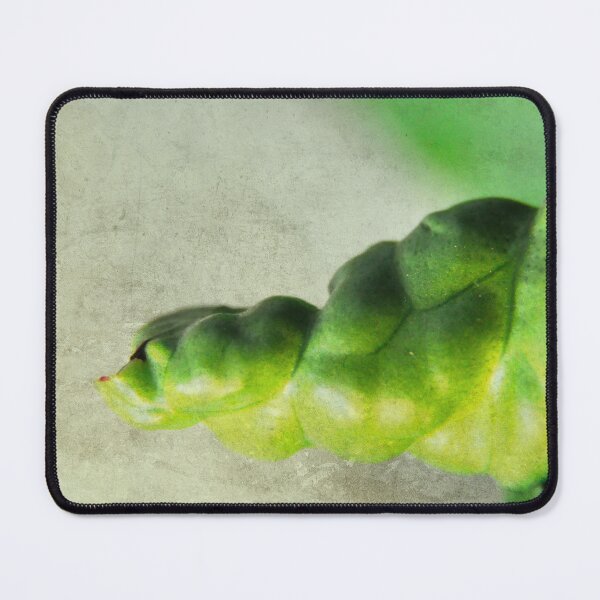 Item preview, Stunted Under Shade designed and sold by Denise Abé.