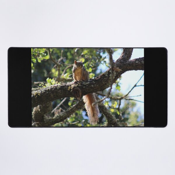 Item preview, Long Tail Squirrel designed and sold by craftsbydaphy.
