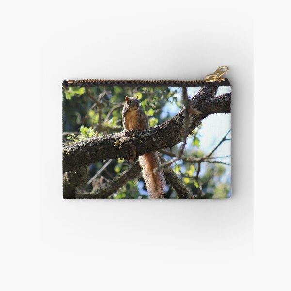 Item preview, Long Tail Squirrel designed and sold by craftsbydaphy.