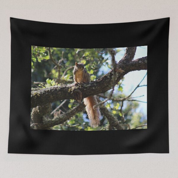 Item preview, Long Tail Squirrel designed and sold by craftsbydaphy.